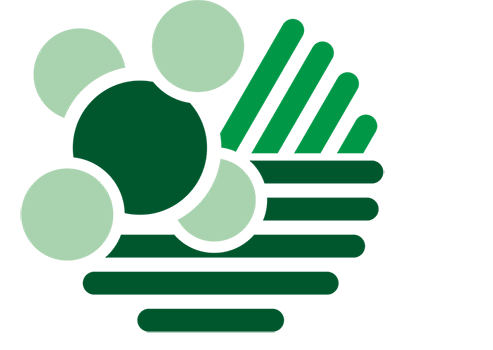 logo caresoil 350